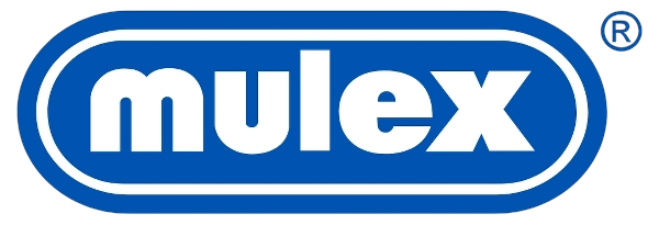 Beschreibung des Bildes